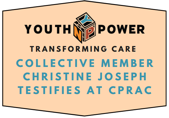  Christine Joseph Testifies at The New York State Child Poverty Reduction Advisory Council (CPRAC)